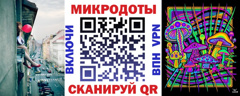 что такое   Лагань  Псилоцибиновые грибы Cubensis 